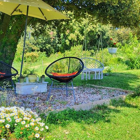 Agriturismo Podere Le Palaie Monterotondo  Exterior foto